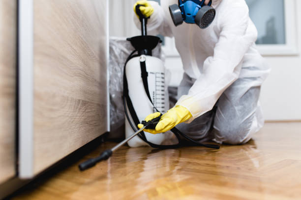 Best Local Pest Control Services  in Manche North Shore, CA