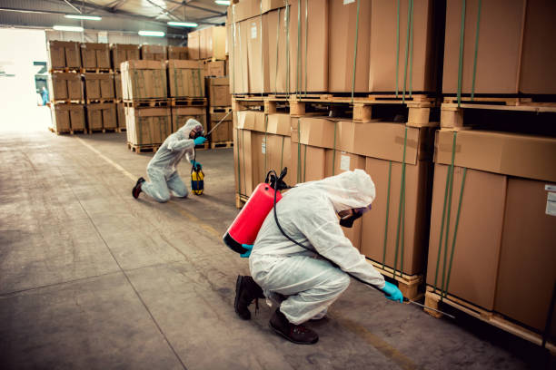 Best Affordable Pest Control Services  in Manche North Shore, CA