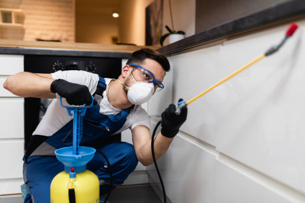 Best Pest Prevention Services  in Manche North Shore, CA