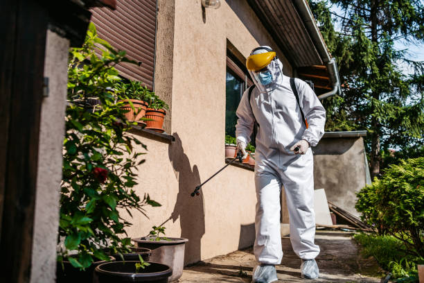 Pest Control for Restaurants in Camanche North Shore, CA
