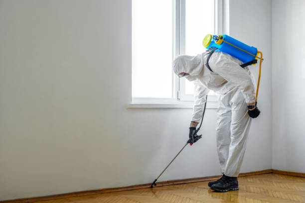 Best Residential Pest Control  in Manche North Shore, CA
