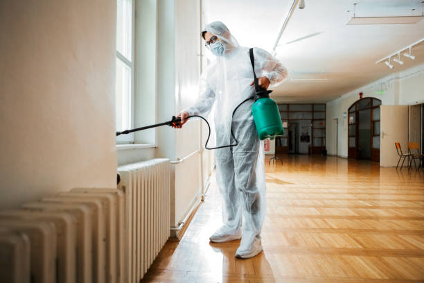 Best Flea Control Services  in Manche North Shore, CA