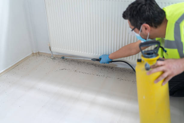 Professional Pest Control in Camanche North Shore, CA